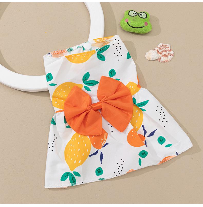 

Cartoon Princess Dress for Dogs and Cats – Cute Pet Apparel XXL