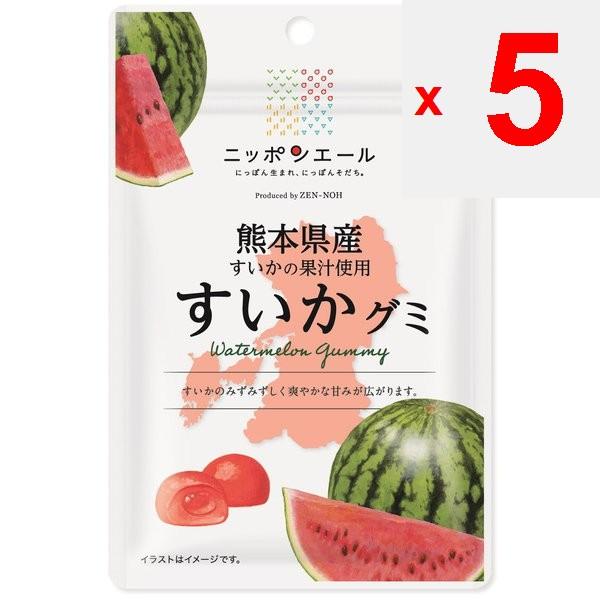 JA Nippon Ale Kumamoto Watermelon Gummi 40gNippon Ale Brand with the Catchphrase Nippon-born, Nippo Nippon Ale Brand with the Catchphrase Nippon-born,