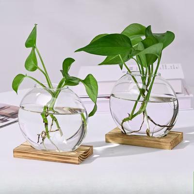Kreative Glasvase mit Holzsockel, Grüne Efeupflanze in Transparentem Blumentopf, Heimdekoration, Büro-Schreibtisch-Dekoration
