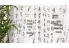 Vintage Calligraphy Gauze Curtain - Ancient Style Chinese Prop for Photography and Decoration
