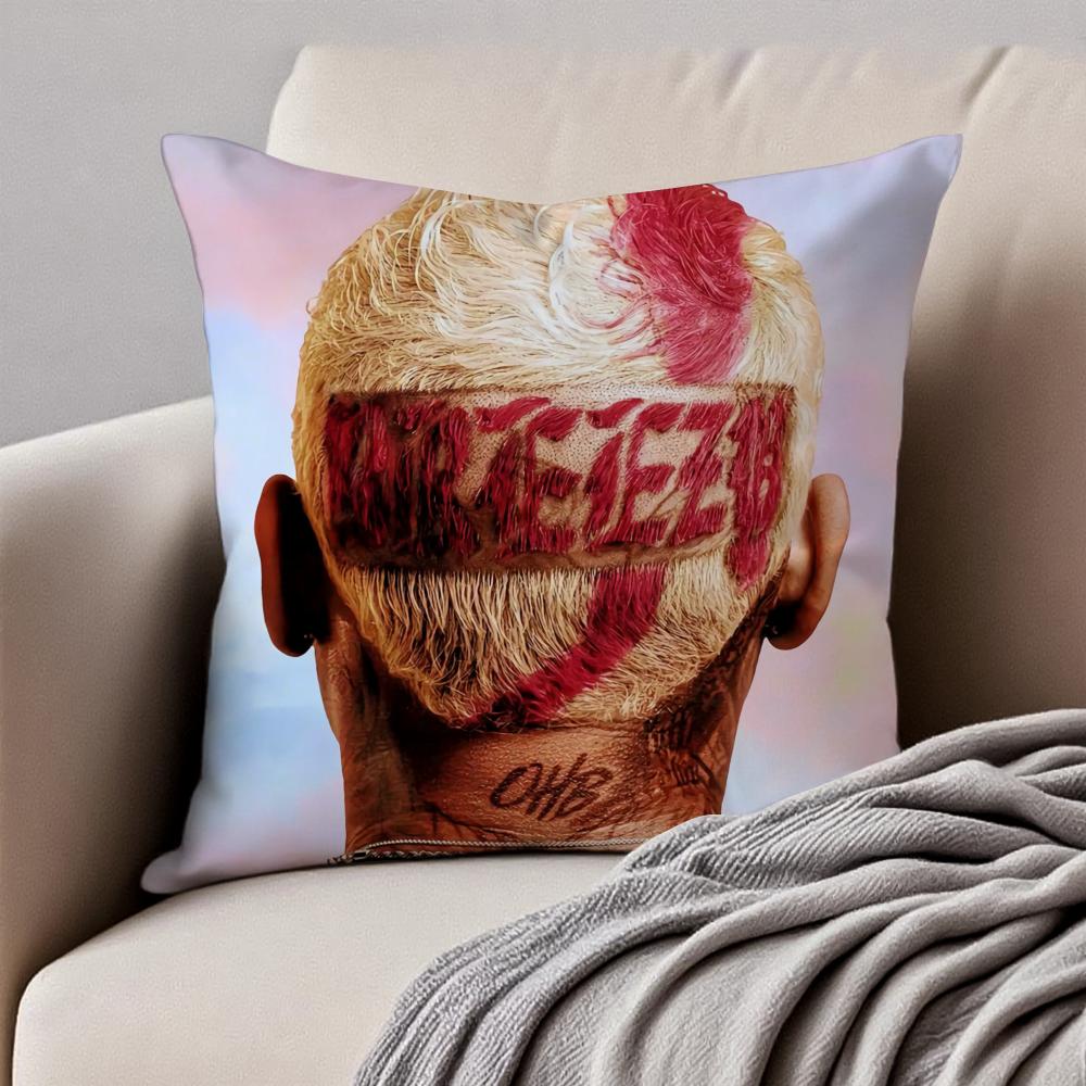 Album Cover CChris BBrown Cushion Cover Pillowcase Antidustmite Invisible Zipper Short Plush Sofa Cushion