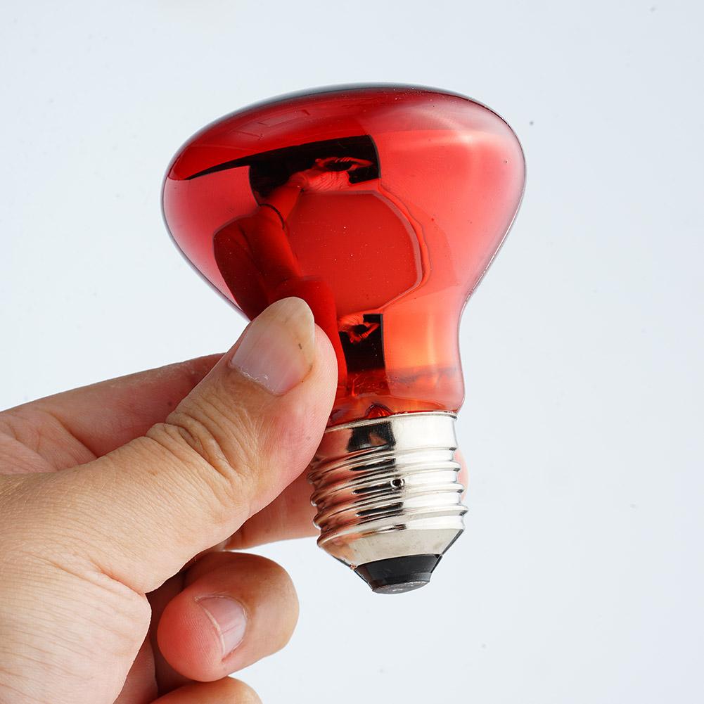 E27 Amphibian Snake Reptile Light Bulb Heat Night Light For Amphibian Snake Lamp Heat Bulb UV Light 100W 75W 60W 50W 40W 25W