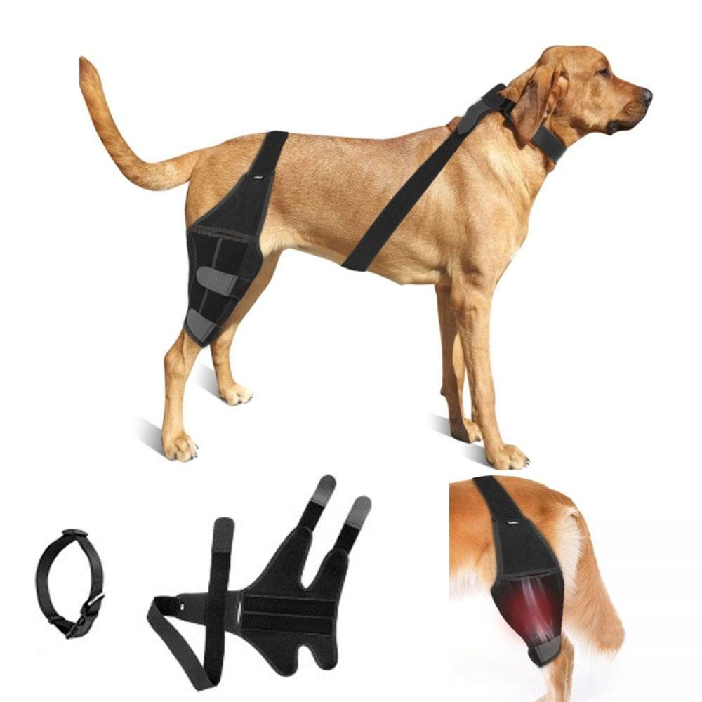 Verstellbare Hunde-Knieorthese Atmungsaktiver Knie-Wundschutz für Haustiere für Hinter- und Vorderbeine