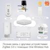 MOES Tuya Smart ZigBee3.0 Chain Blinds Motor Chain Motorized Roller shutter Shades  Smart LifeAPP Alexa Google Voice Control