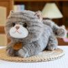 Cute Cat Plush Toys Cartoon Girl Children Bedroom Decoration Dolls Presents