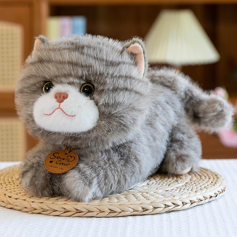 Cat Plush Cute Toys Cartoon Girl Children Bedroom Decoration Presents Dolls