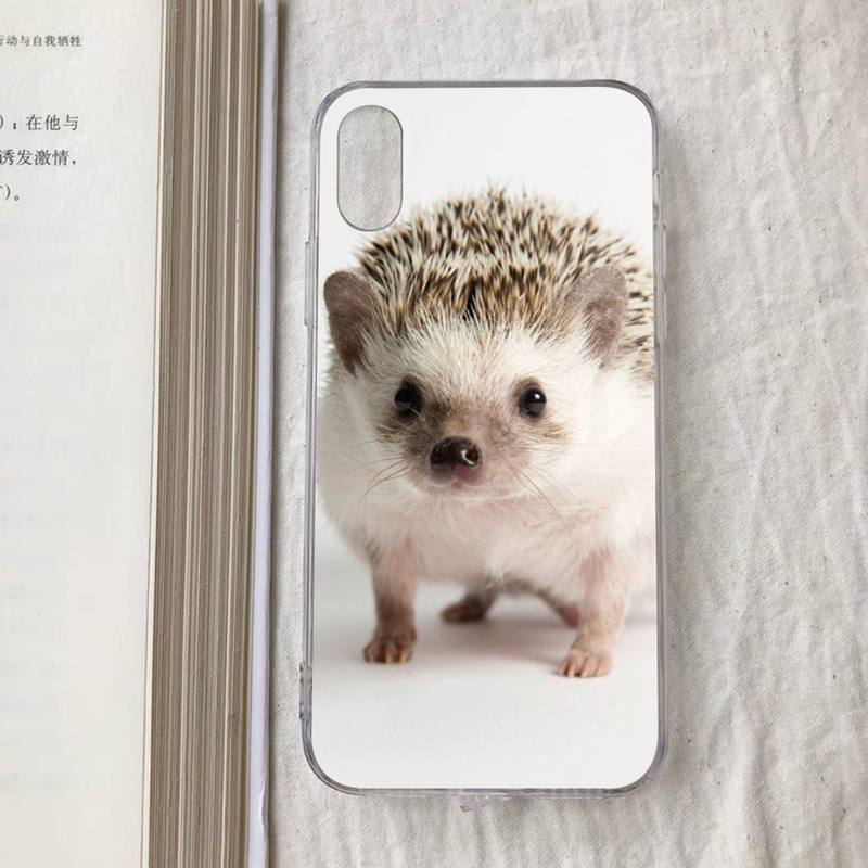 Cute Animal Hedgehog Phone Case for iPhone 11 12 13 mini pro XS MAX 8 7 6 6S Plus X 5S SE 2020 XR case