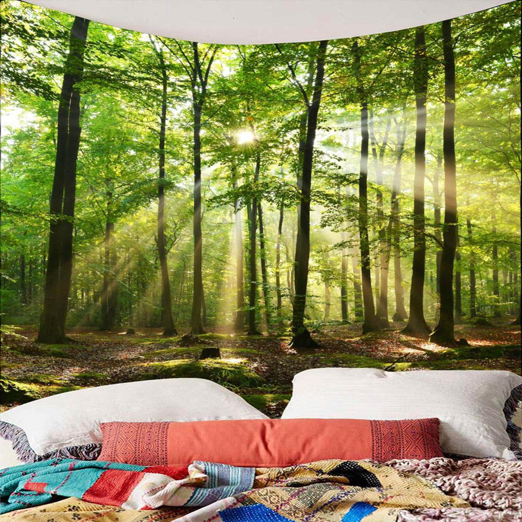 

Коллекция декора, Лесная тропа в горах с видом на дикую природу вдалеке, Гостиная I