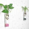 Pack of 2 Crystal Glass Wall Hanging Flower Vase Planter Terrarium Container Flower Pot Cylinder Shape