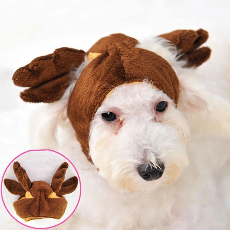 

Adorable Pretty Pet Dog Cat Hat Cap Featuring Reindeer And Duck Costumes