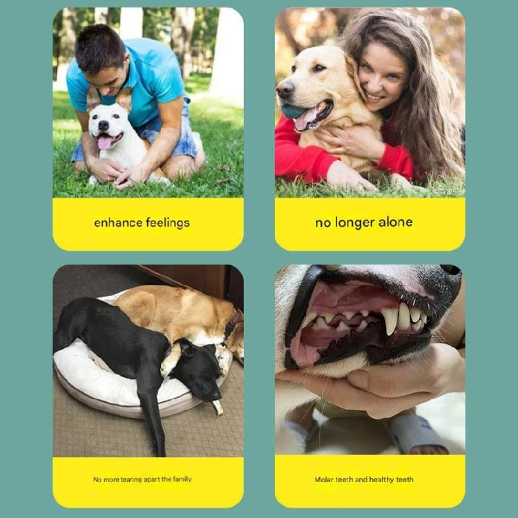 Interactive Latex Alligator Shape Pet Toy with Soundable Design Chew and Teeth Toy for Dog Entertainment Exercise Fun