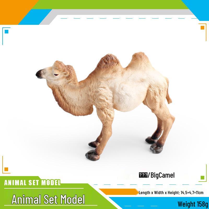 Wild Animal Model Desktop Ornaments - Camel, Giraffe, Moose: Educational Toys for Children s Science Learning