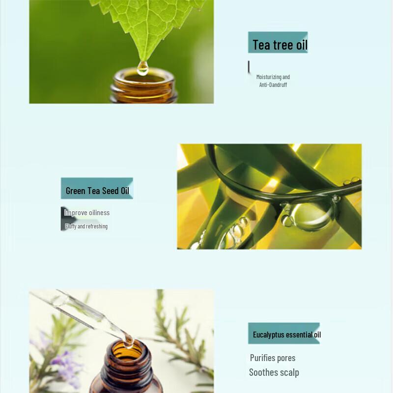 SULY Green Tea Seed Oil Control Anti-Dandruff Shampoo