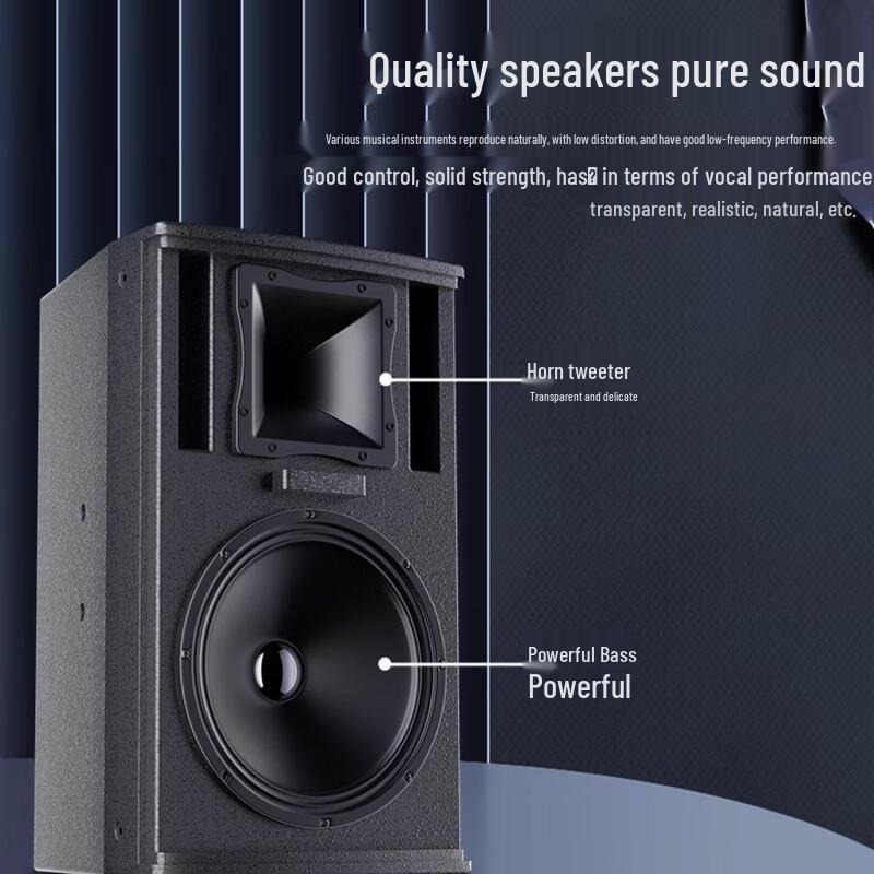 HuiDu MR-151 Professional Full-Range Speaker CN plug (adapter included)