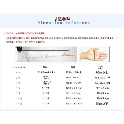 WGM New Full-Size Violin Set: Full-Size 4/4 Solid Wood Electric Silent Violin with Chin Rest, Ebony Fittings, Hard Case, Extra Strings, Audio Cable, R