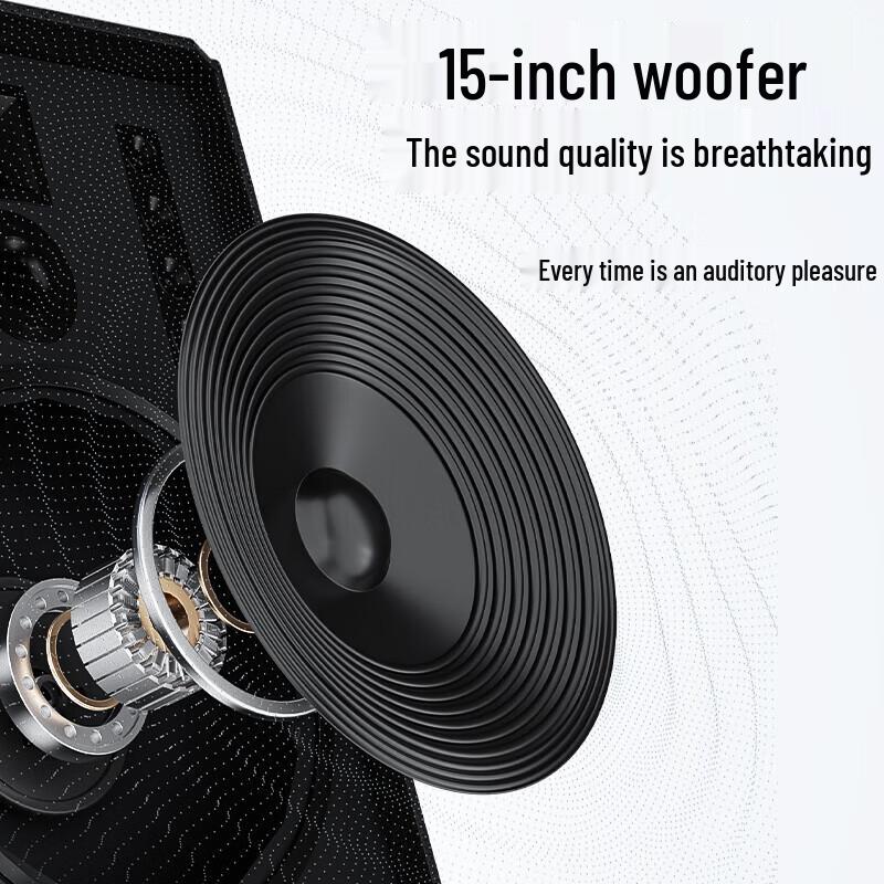 Newman N539 15-inch Portable Bluetooth Karaoke Speaker CN Plug (adapter Included)