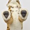HANSA Animal Plush Toy Anatolian Leopard No.5189