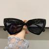 Cute Sexy Vintage Cat Eye Sunglasses Woman Small Black White Triangle Retro Ladies Sun Glasses Leopard Female Eyewear