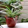Fauler Wasserspender Imitation Glas Kunststoff Vogel Automatisch Garten Blumenliebhaber Reisen Tropfmaschine