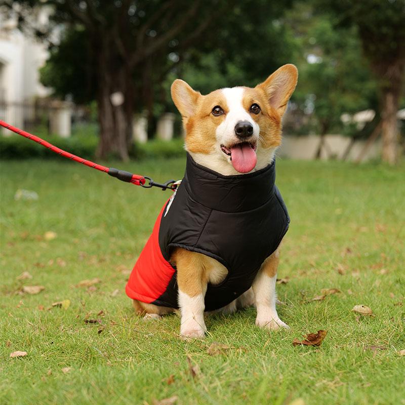 L-7XL Invierno Impermeable Cálido Chaqueta Corgi Cálida Chaqueta para Perro Perro Mediano Perro Grande Labrador Ropa para Salir en Invierno