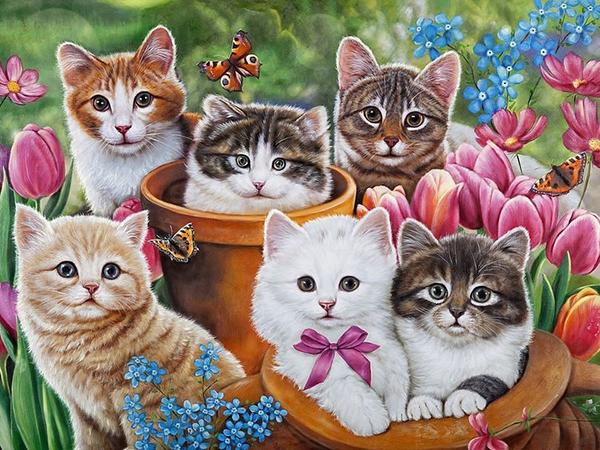 DIY Diamond Painting Cat Full Round Diamond Mosaic Animal Cross Stitch Embroidery Picture Of Rhinestones Wall Decor