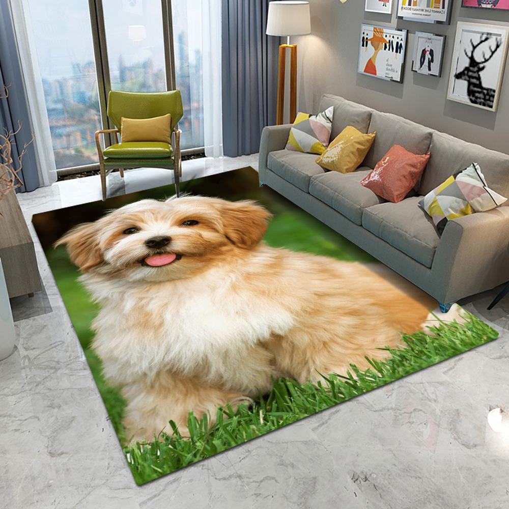 

Милий золотистий собака посмішка килим мультфільм вітальня спальня кухня диван вхідний килимок нековзкий миючий кавайний декоративний килимок 50X80CM