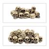 Dwarf Mini Skeleton Set: 20-Piece Halloween & Day of the Dead Decor for Flower Pots and Surfaces