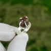 Mothers Day Deal Hessonite Rough Stone New Ring Jewelry Size 8.5 Sterling Silver