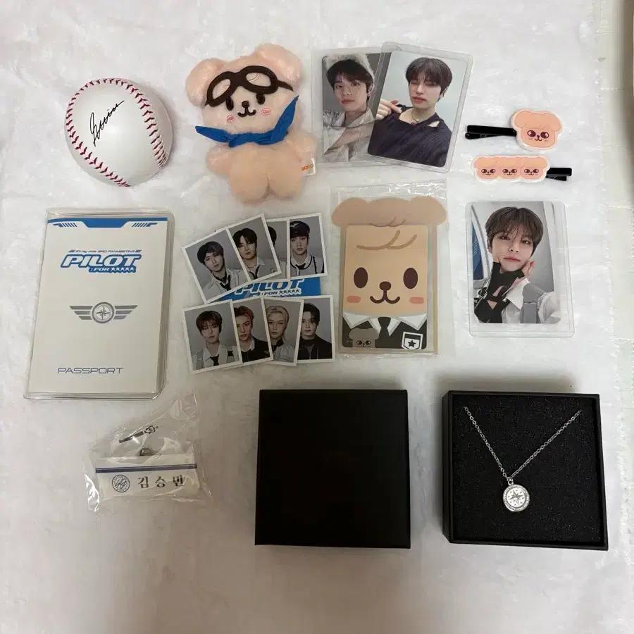STRAY KIDS, Skids Pilot, Seungmin, Papem, Necklace, Certificate, Poka, Hairpin, Poka Holder, Passport, Name Tag