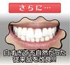 Teeth Makeup Dental Pearl Natural White