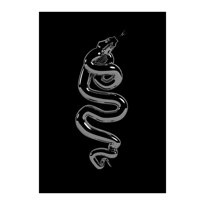 

Животное Искусство Черная Ядовитая Змея Статуя Скульптура Холст Картина Настенные Художественные Плакаты Печатает Настенную Картина для Гостиной Дома Куадрос 20x30cm