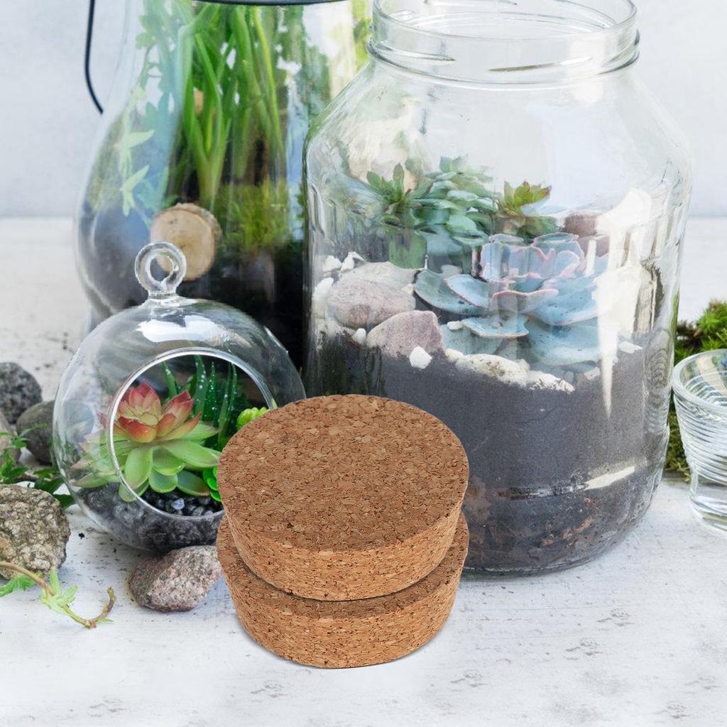 6Pcs Flower Vase Cork Lids Hydroponic Planter Glass Jar Lid Replacement 64.5x20x58mm Plant Terrarium Stopper