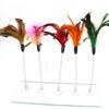 Feather Cat Toy Stick with Mint Ball and Colorful Mouse - Self-entertainment Cat Toy Supply
