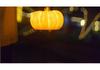 Portable Moon, Durian, Pumpkin, Goose, and Owl Animal Lamps - Solar-Powered Outdoor Decor