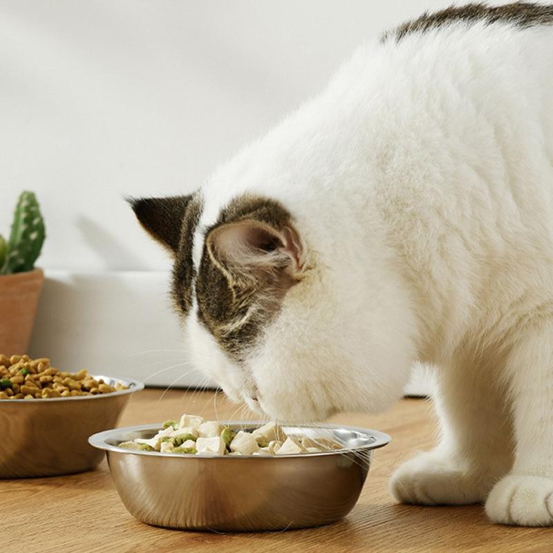 Elevated Pet Bowls Tilted Single/Double Cat Stainless Steel Food Bowls Wooden Dog Water Feeding Container Cat Supplies