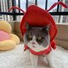 Soft Lobster Pet Costume Cozy Lobster Cosplay Clothes Funny Cat Halloween Costume  Dress Up