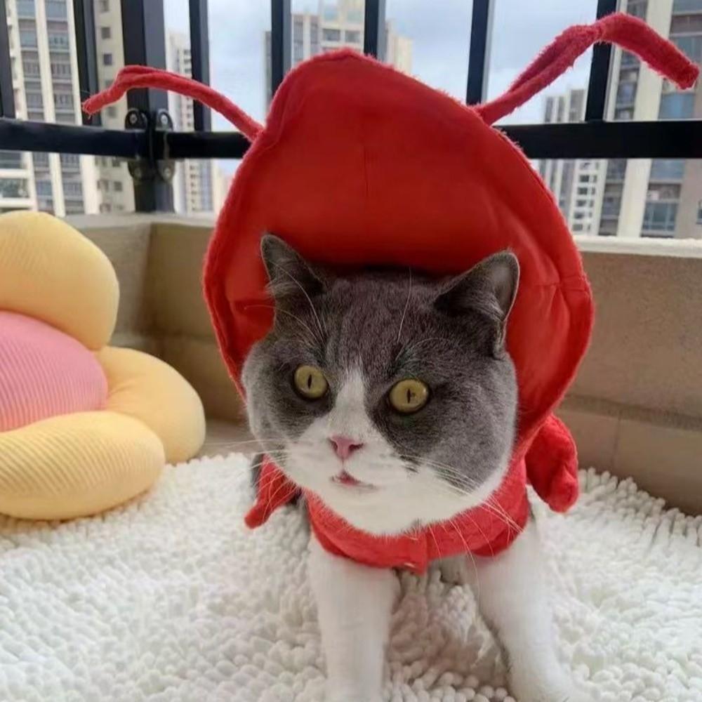 Soft Lobster Pet Costume Cozy Lobster Cosplay Clothes Funny Cat Halloween Costume Dress Up