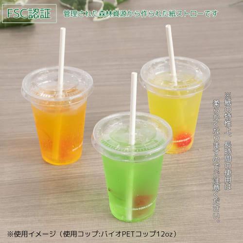 Edogawa Bussan Paper Straws, 6mm Diameter x 18cm Length, Pack of 200, KM618SP