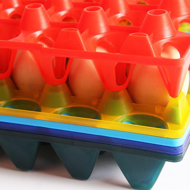 Nowa Plastikowa Tacka na Jajka - Mieści 30 Jajek Kurzych lub 20 Jajek Kaczych