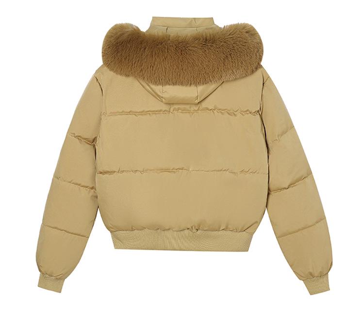 Women's 2025 Winter Fashion Short Cotton-Padded Jacket - Thickened Down-Alternative Coat