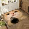 Cool Silly Cat Meme Floor Mat Soft Thickened Absorbent Non-Slip Bedroom Living Room Door Mat Home Decor Flannel Rugs