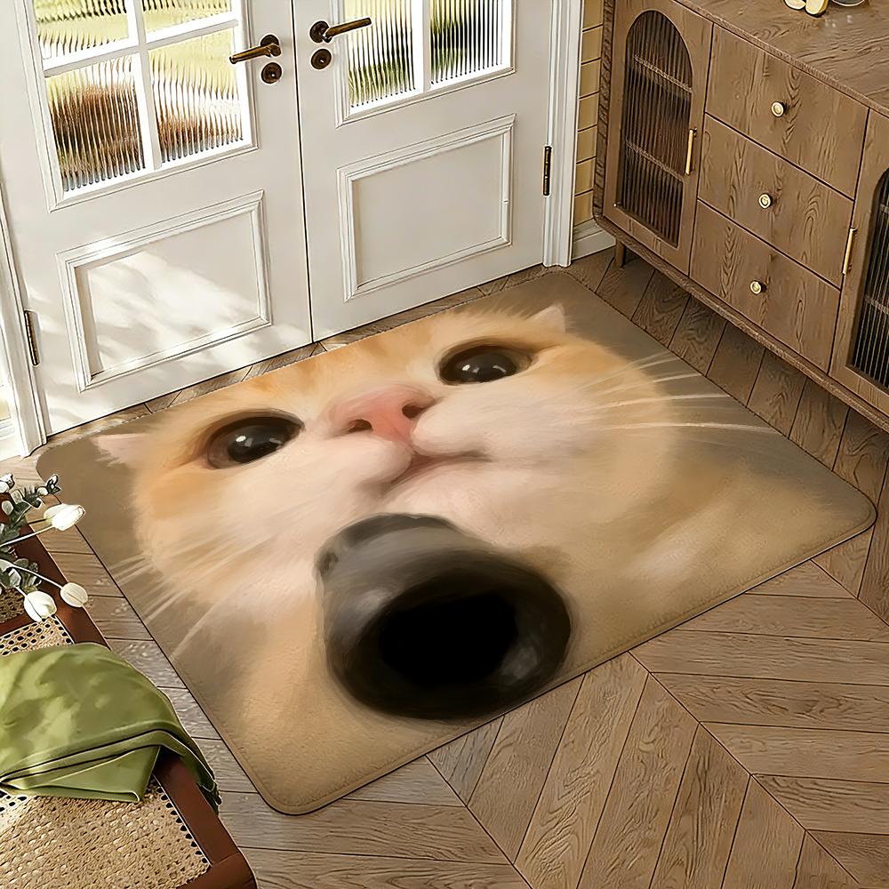 Cool Silly Cat Meme Floor Mat Soft Thickened Absorbent Non-Slip Bedroom Living Room Door Mat Home Decor Flannel Rugs