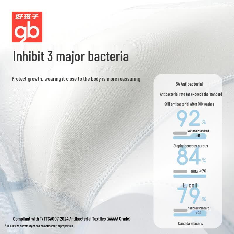 Goodbaby Boys' 100% Cotton 5A Anti-Bacterial Briefs 3-Pack