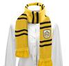 [Cinereplicas] Cinereplicas Harry Potter Echarpe Harry Potter Acrylic Scarf Muffler [Authorized Domestic Distributor] One Size Ultra Soft Fabric Purpl