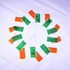 Irlanda 10 piezas de banderas para agitar a mano de 14*21 cm