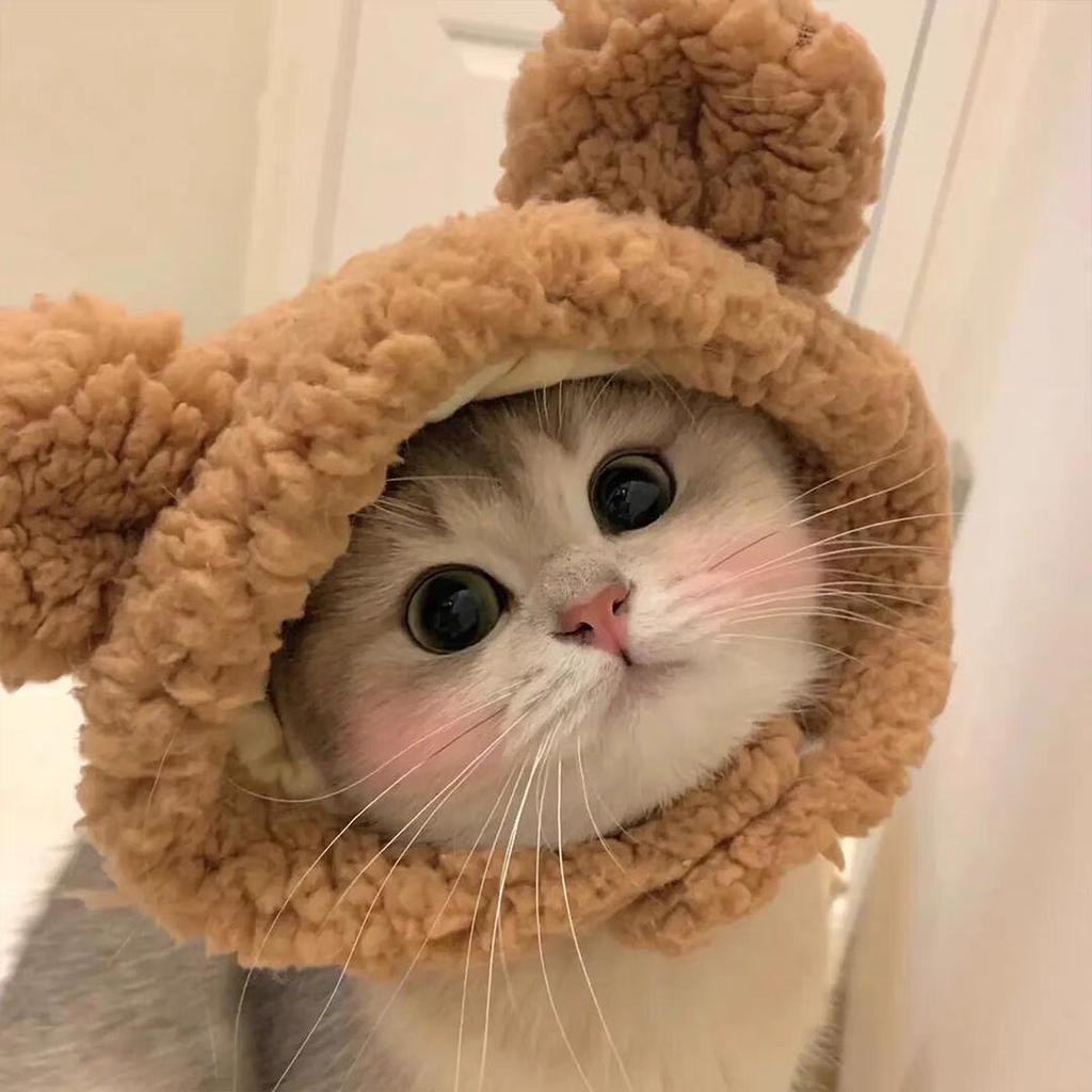 Pet Hat Decoration Headgear Plush Drag Puppy Dog Cat Cuter Than Bear Photo Headgear Funny