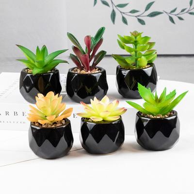 Artificial Plant Reusable Realistic PVC Fresh Keeping Easy Care Artificial Succulents Bonsai for Home