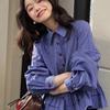 Womens Ruffle Hem Shirt With Lantern Sleeves Cute Daily Wear