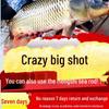 Long distance shore casting fishing rod set including soft tail, bridge, and sea rod for raft fishing.
