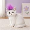 Fashion Adjustable Elastic Cat Wig Novelty Eye-catching Pet Cosplay Hat Cute Cat Funny Props Holiday